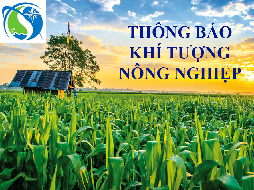 Thông báo Khí tượng Nông nghiệp khu vực Nam Trung Bộ