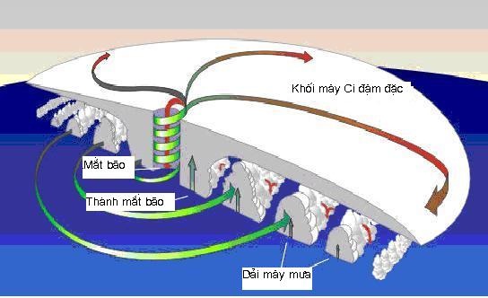 Câu 1: Bão, áp thấp nhiệt đới là gì ?