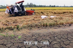 Nâng cao chất lượng nghề 'đo gió đếm mây' trước thách thức biến đổi khí hậu
