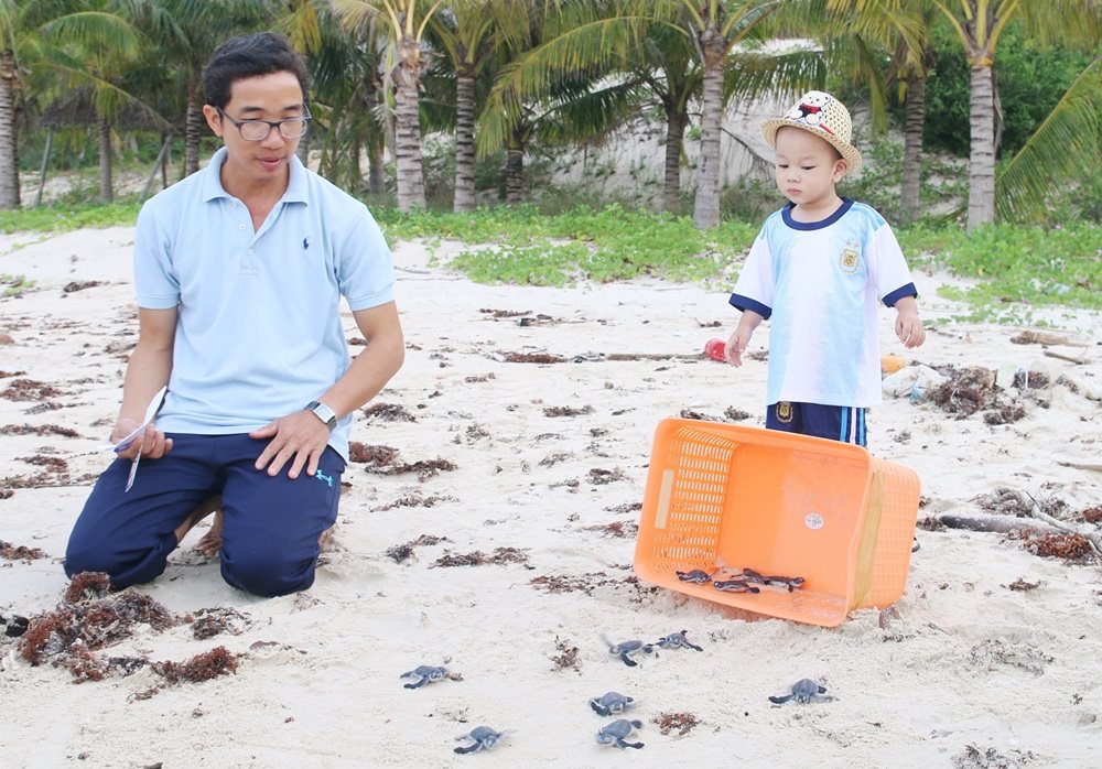 Kỳ tích đưa rùa về lại Cù Lao